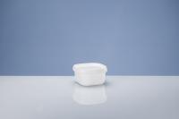 Container 650ml